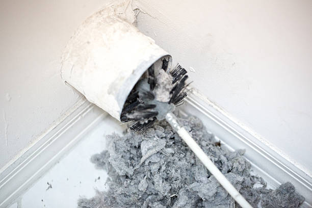 Air Duct Mold Removal in Homer City, PA